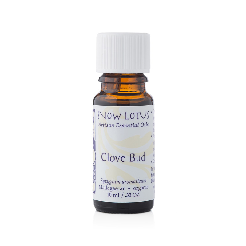 Clove Bud (10 mL)