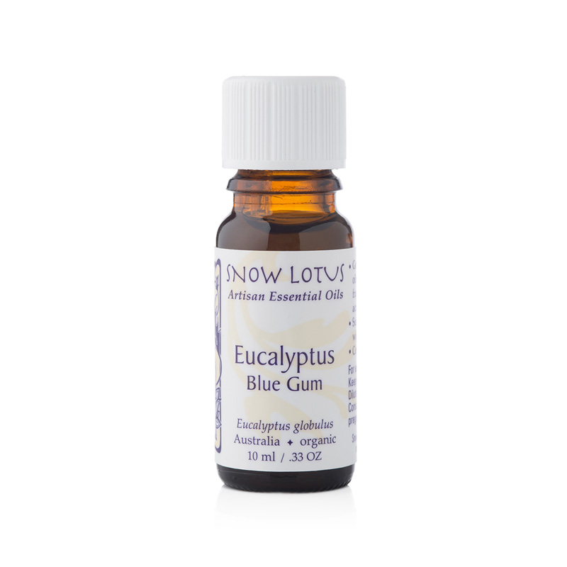 Eucalyptus, blue gum (10 mL)