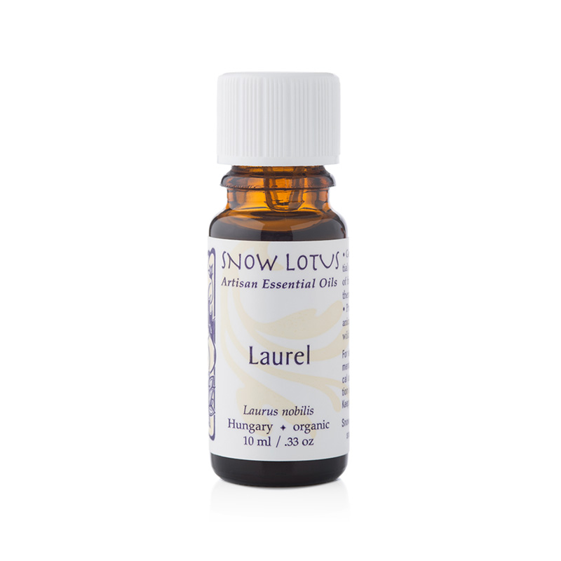 Laurel, bay (10 mL)