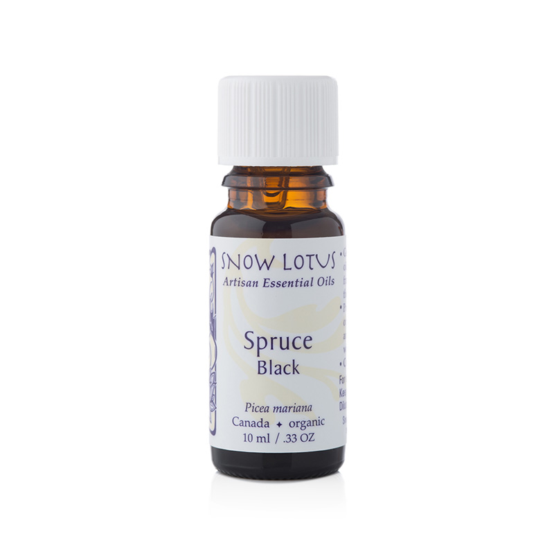 Spruce, black (10 mL)