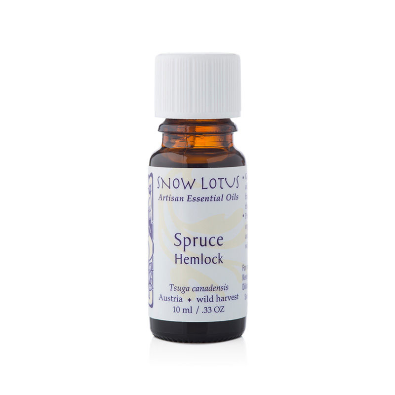 Spruce, Hemlock (10 mL)